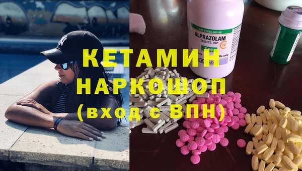 прущие грибы Армянск