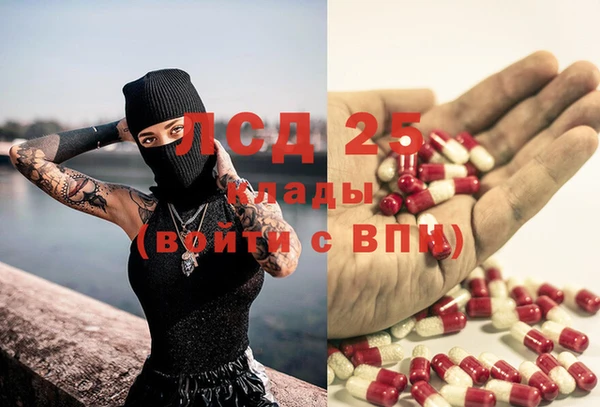 прущие грибы Армянск