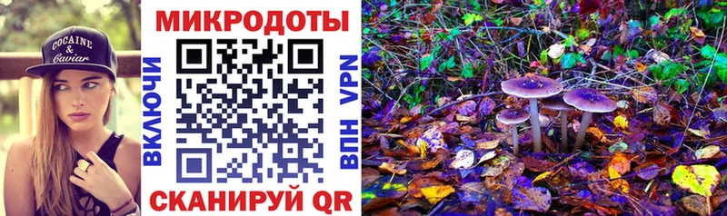 Псилоцибиновые грибы мухоморы  гидра зеркало  нарко площадка Telegram  Ишим 